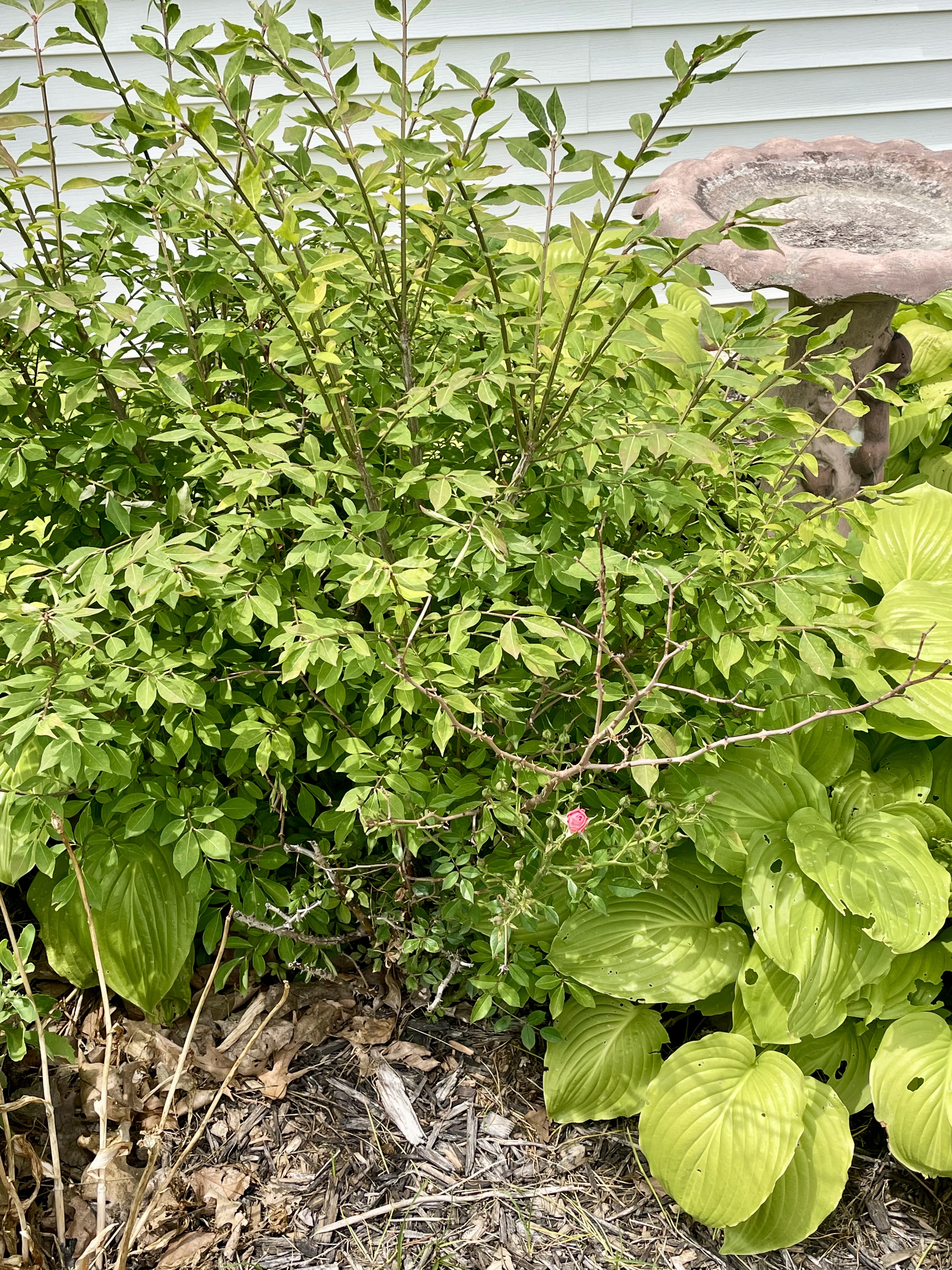 Good Parenting Isn’t Measured By Immediate Results