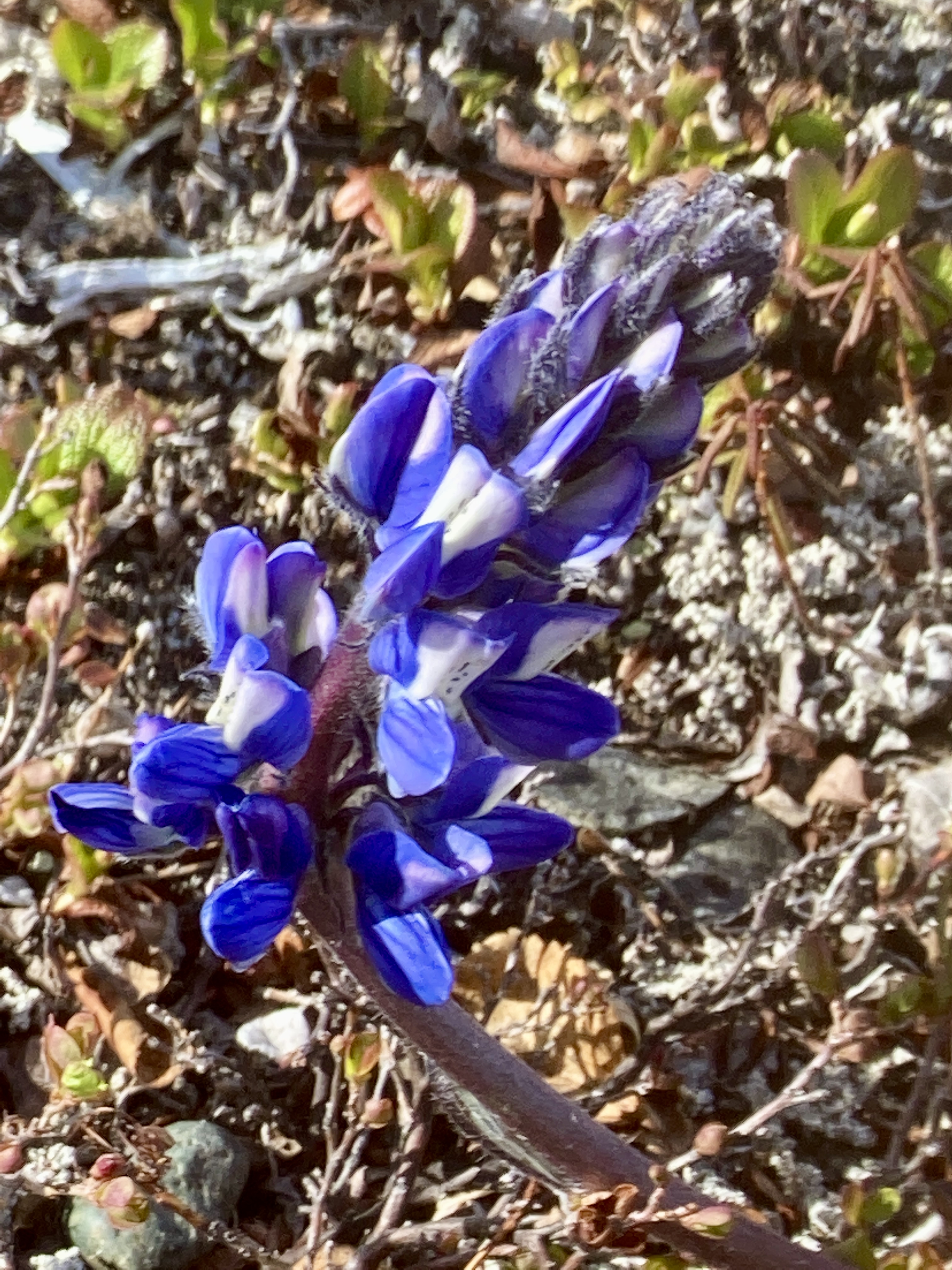 The Power of Little Things